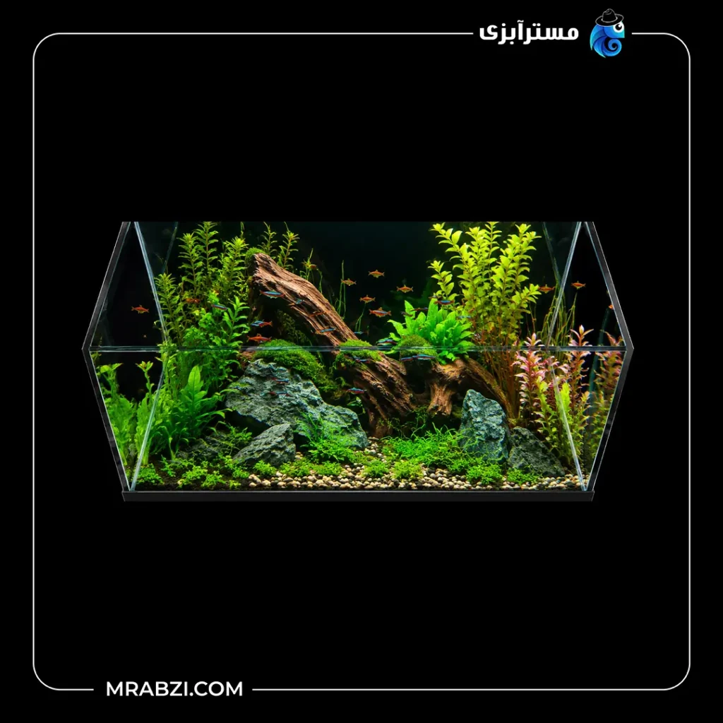 قیمت و خرید آکواریوم ریملس آکوا شیشه فلوت 10 میل (50*40*40)