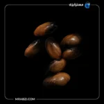 قیمت و خرید صدف