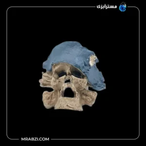 قیمت و خرید دکور آکواریوم طرح جمجمه دزد دریایی مدل 201