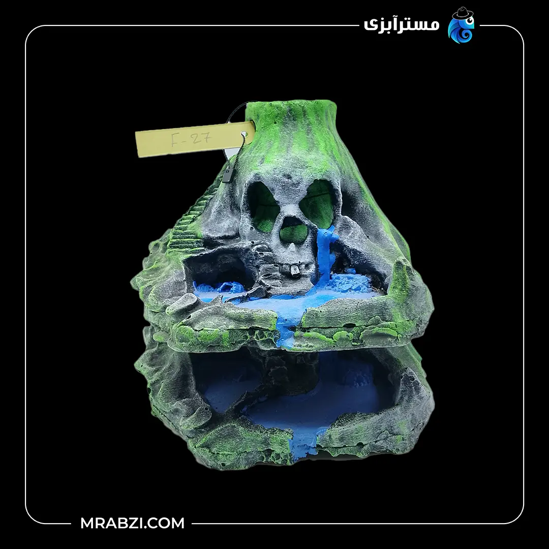دکور آکواریوم صخره آتشفشانی و جمجمه مدل F-27 قیمت و خرید دکور آکواریوم صخره آتشفشانی و جمجمه مدل F-27