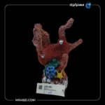 قیمت و خرید دکور آکواریوم طرح مرجان دریایی مدل F-68