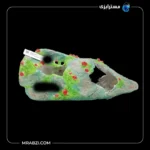 قیمت و خرید دکور آکواریوم طرح فسیل پوشیده از خزه مدل F-97