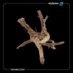 قیمت و خرید چوب تزئینی آکواریوم ریشه آبنوس (390 گرم)