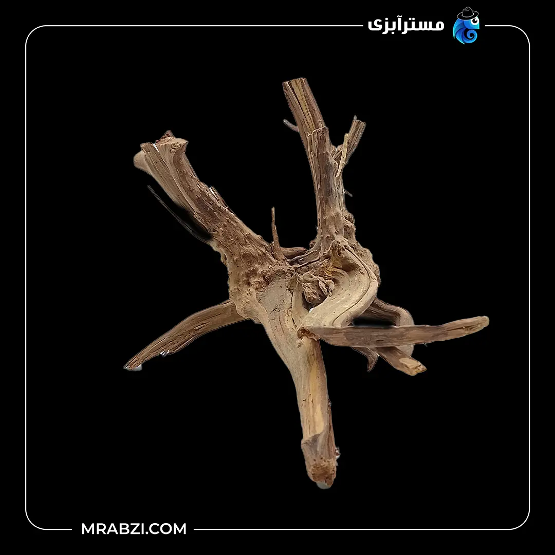 چوب تزئینی آکواریوم ریشه آبنوس (390 گرم) قیمت و خرید چوب تزئینی آکواریوم ریشه آبنوس (390 گرم)
