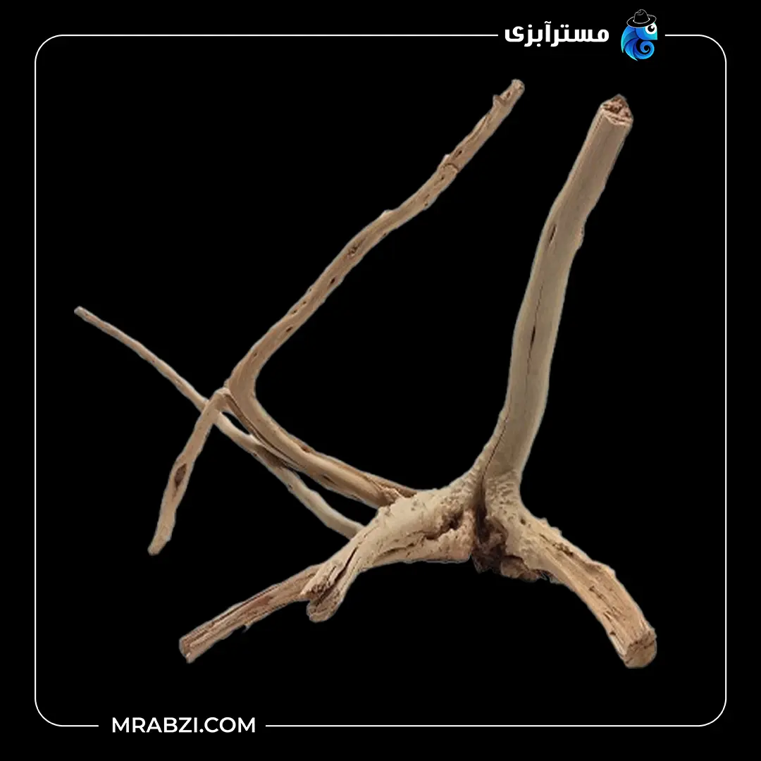 چوب تزئینی آکواریوم ریشه آبنوس (270گرم) قیمت و خرید چوب تزئینی آکواریوم ریشه آبنوس (270گرم)