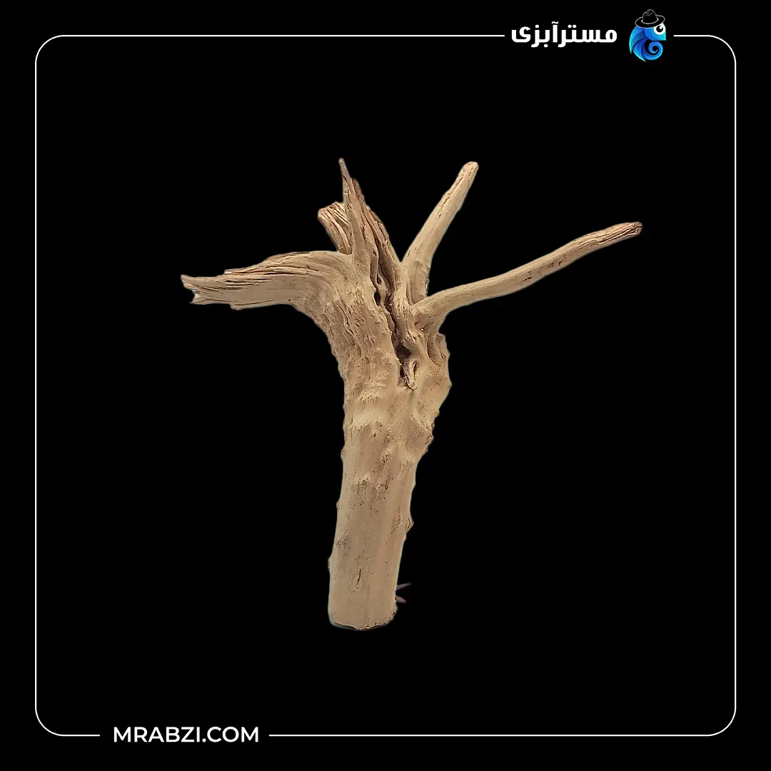 چوب تزئینی آکواریوم ریشه آبنوس (520گرم) قیمت و خرید چوب تزئینی آکواریوم ریشه آبنوس (520گرم)