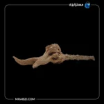 قیمت و خرید چوب تزئینی آکواریوم ریشه آبنوس (230 گرم)
