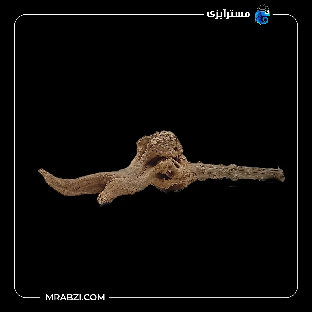 چوب تزئینی آکواریوم ریشه آبنوس (230 گرم) قیمت و خرید چوب تزئینی آکواریوم ریشه آبنوس (230 گرم)