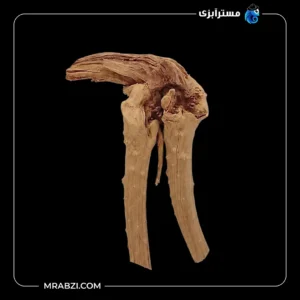 قیمت و خرید چوب تزئینی آکواریوم ریشه آبنوس (240 گرم)