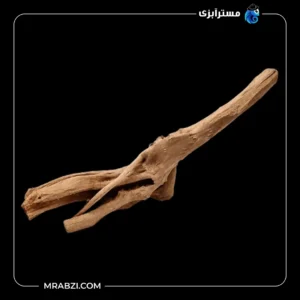 قیمت و خرید چوب تزئینی آکواریوم ریشه آبنوس (400 گرم)