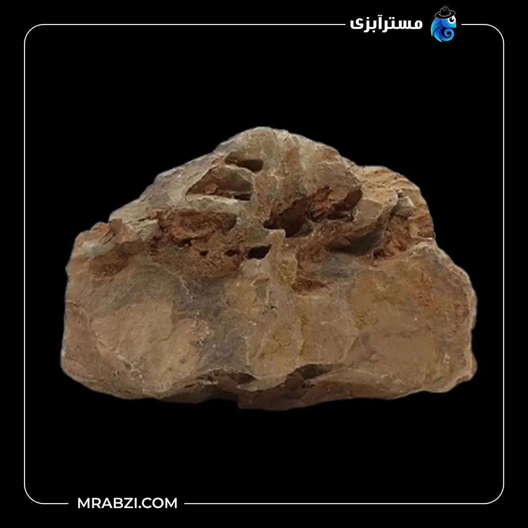سنگ دراگون آکواریوم (۲/۲۵۰ گرمی) قیمت و خرید سنگ دراگون آکواریوم (۲/۲۵۰ گرمی)