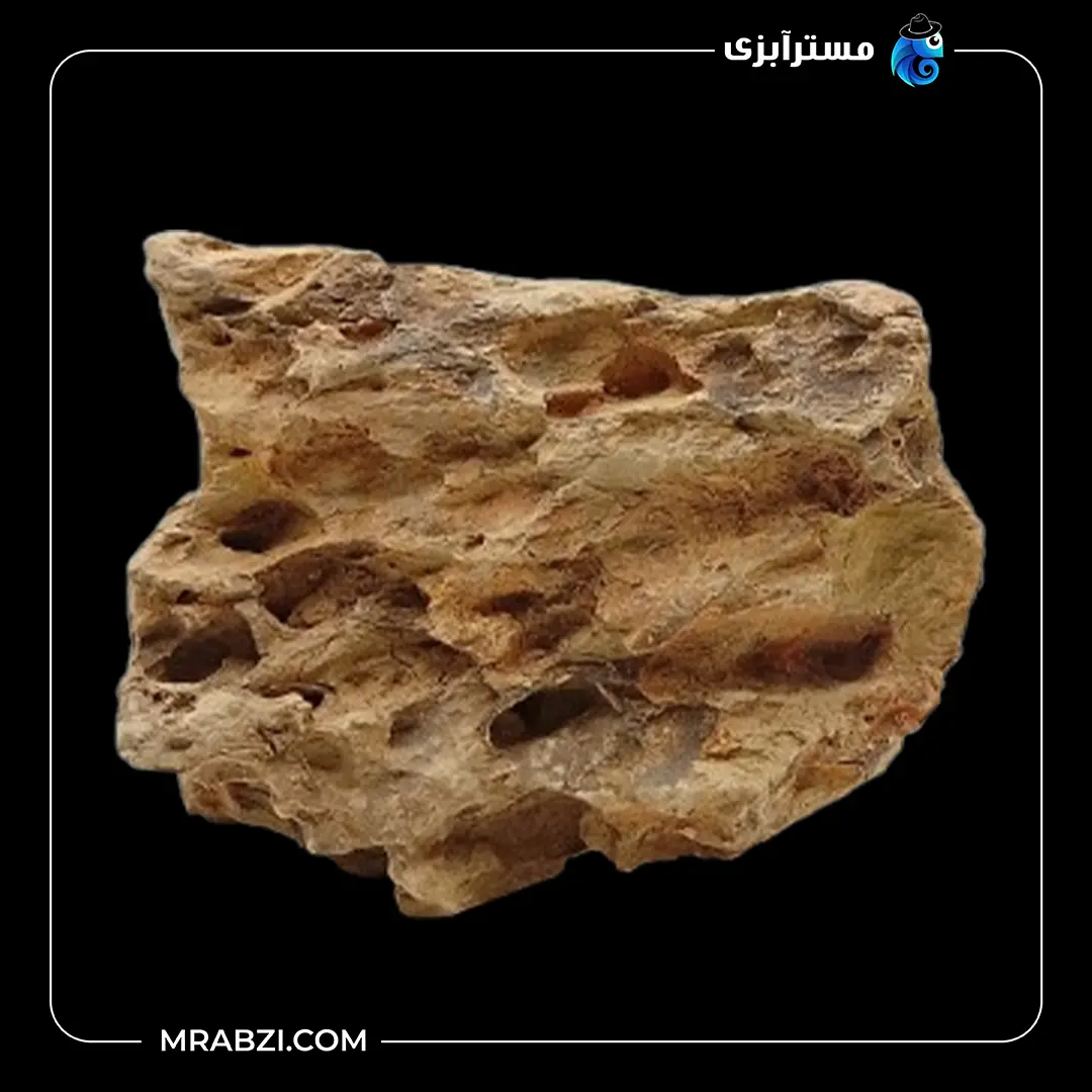 سنگ دراگون آکواریوم (۱/۵۸۰ گرمی) قیمت و خرید سنگ دراگون آکواریوم (۱/۵۸۰ گرمی)
