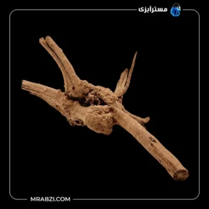 قیمت و خرید چوب تزئینی آکواریوم ریشه آبنوس پیچ‌خورده (230 گرم)